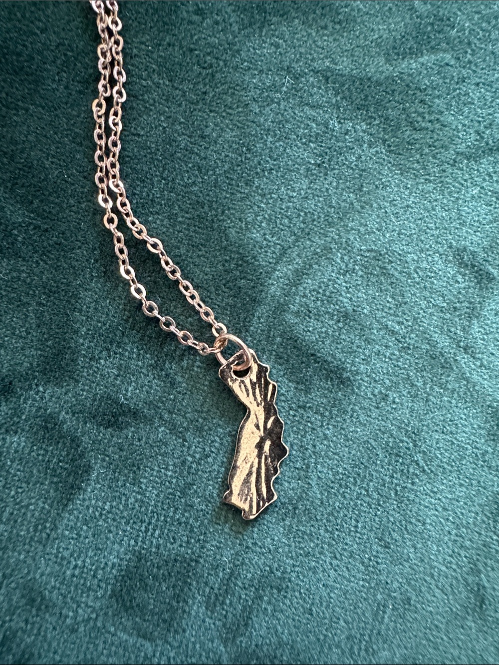 Gold-Tone California State Pendant Necklace - Women Jewelry